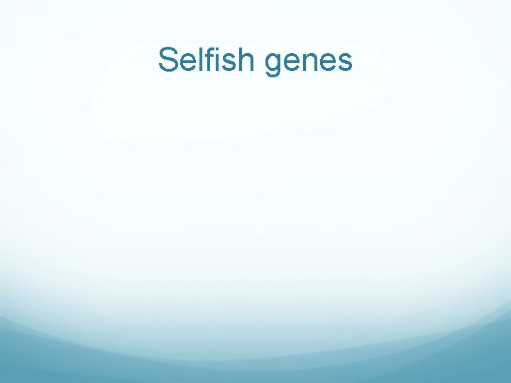 Selfish genes 