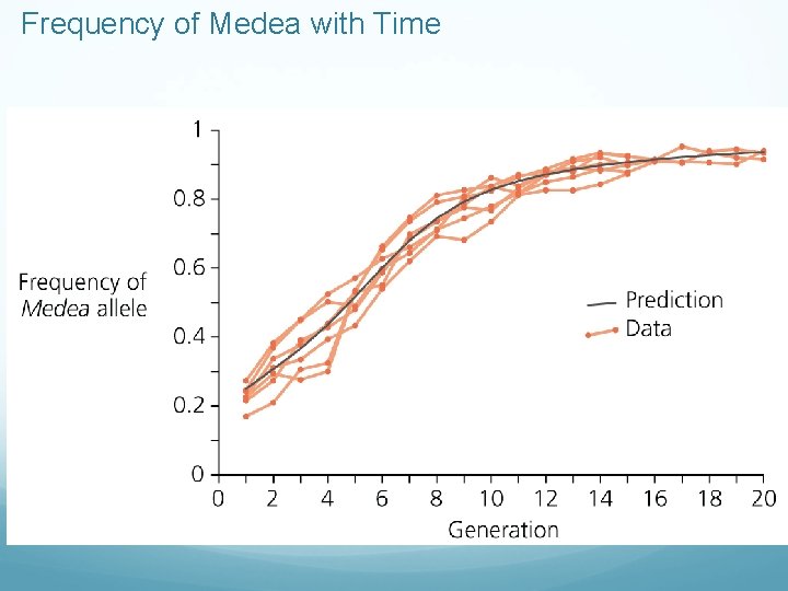 Frequency of Medea with Time 