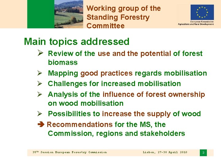 Working group of the Standing Forestry Committee Main topics addressed Ø Review of the