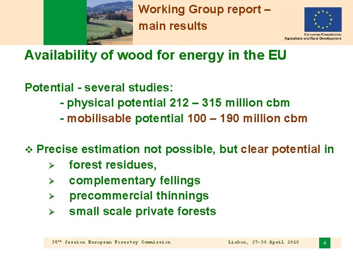 Working Group report – main results Availability of wood for energy in the EU