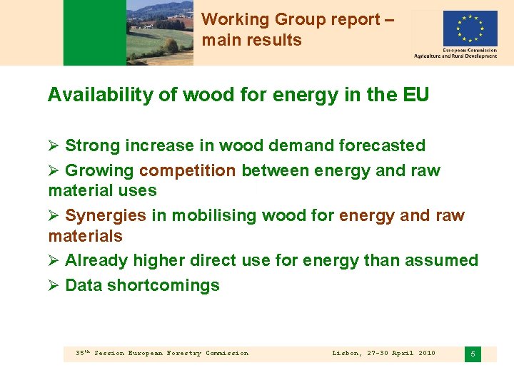 Working Group report – main results Availability of wood for energy in the EU