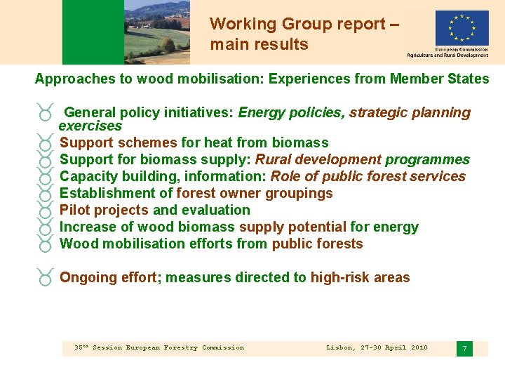 Working Group report – main results Approaches to wood mobilisation: Experiences from Member States