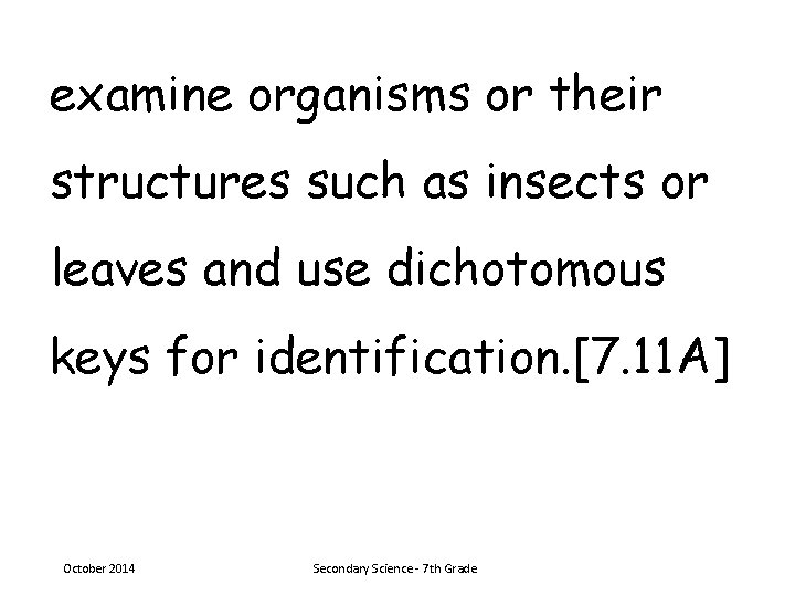 examine organisms or their structures such as insects or leaves and use dichotomous keys