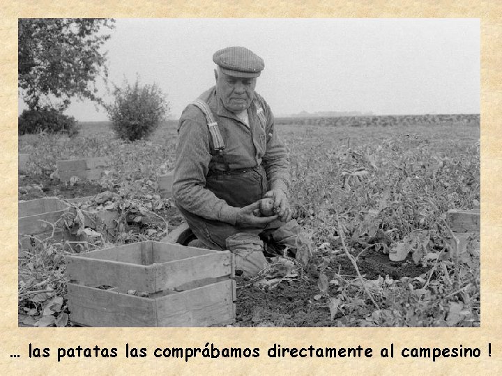 … las patatas las comprábamos directamente al campesino ! 