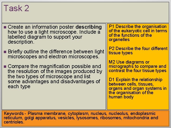 Task 2 n Create an information poster describing how to use a light microscope.