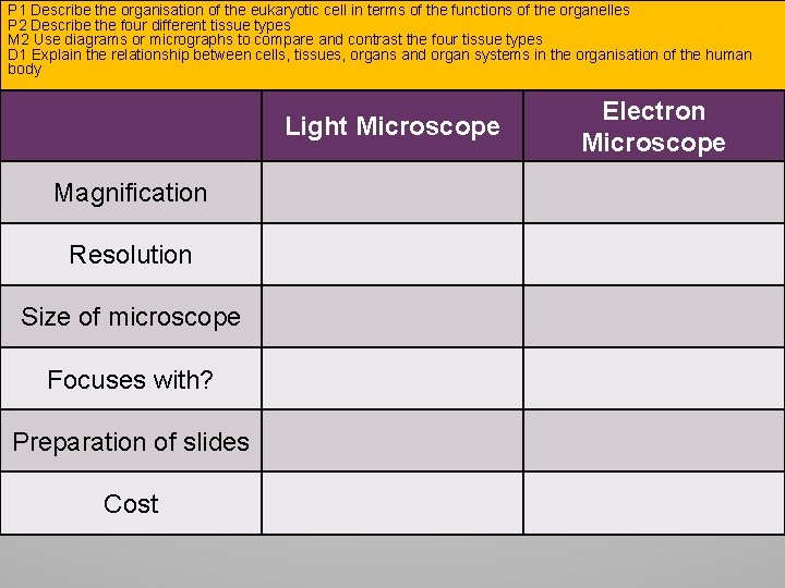 P 1 Describe the organisation of the eukaryotic cell in terms of the functions