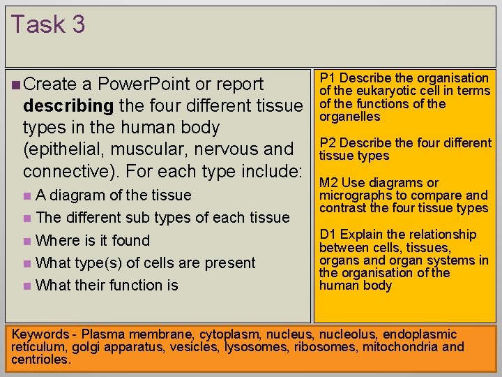 Task 3 n Create a Power. Point or report describing the four different tissue