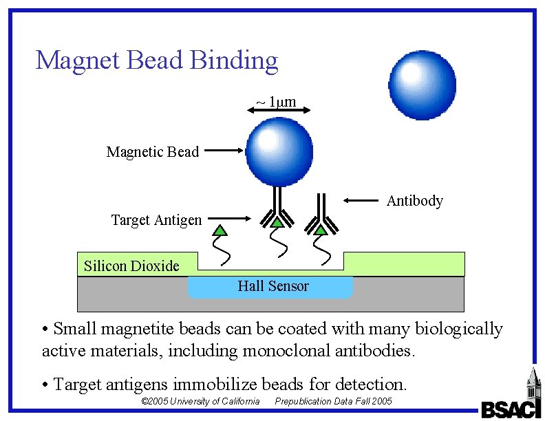 Magnet Bead Binding ~ 1 mm Magnetic Bead Antibody Target Antigen Silicon Dioxide Hall