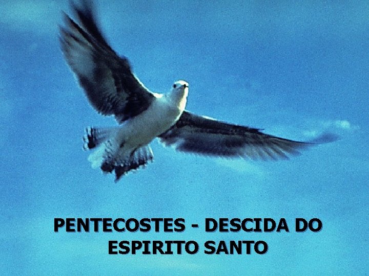 PENTECOSTES - DESCIDA DO ESPIRITO SANTO 