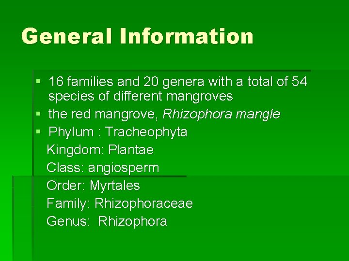 General Information § 16 families and 20 genera with a total of 54 species