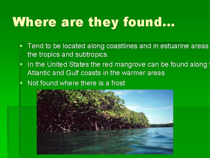 Where are they found… § Tend to be located along coastlines and in estuarine