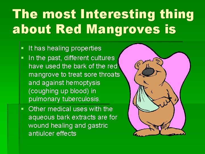 The most Interesting thing about Red Mangroves is § It has healing properties §