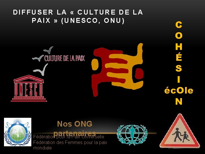 DIFFUSER LA « CULTURE DE LA PAIX » (UNESCO, ONU) Nos ONG partenaires Fédération
