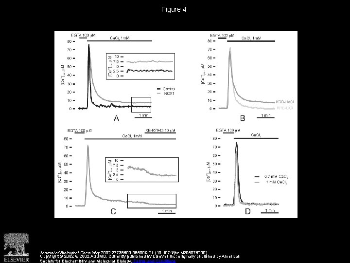 Figure 4 Journal of Biological Chemistry 2002 27738693 -38699 DOI: (10. 1074/jbc. M 206075200)