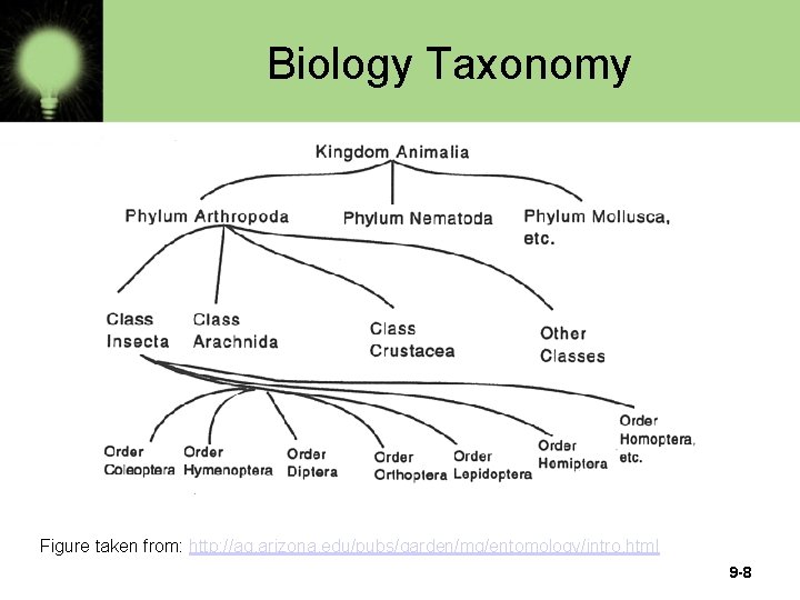 Biology Taxonomy Figure taken from: http: //ag. arizona. edu/pubs/garden/mg/entomology/intro. html 9 -8 