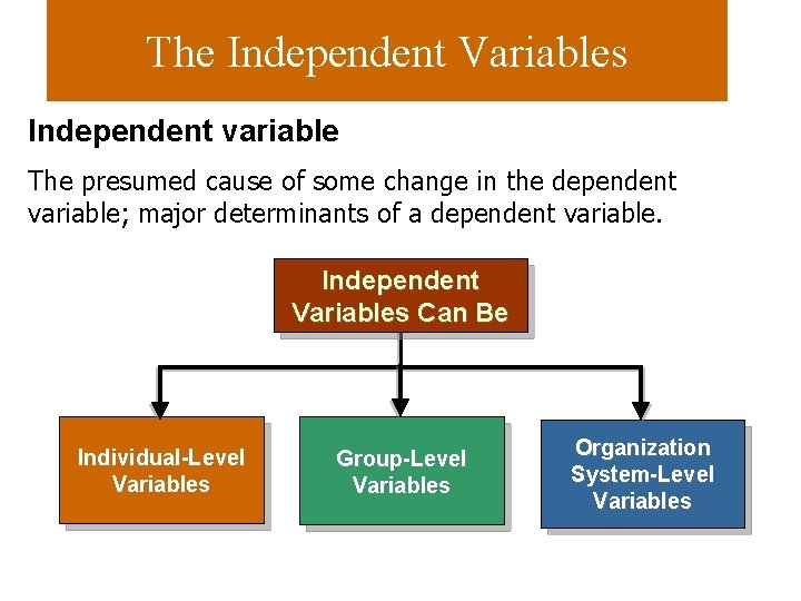 The Independent Variables Independent variable The presumed cause of some change in the dependent