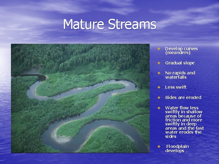 Mature Streams v Develop curves (meanders) v Gradual slope v No rapids and waterfalls