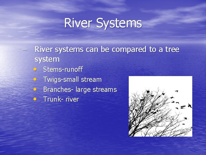 River Systems – River systems can be compared to a tree system • Stems-runoff