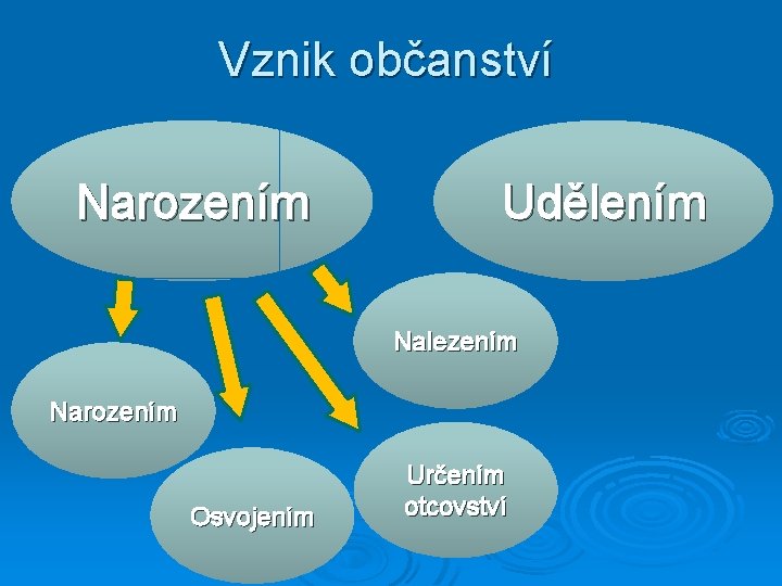 Vznik občanství Narozením Udělením Nalezením Narozením Osvojením Určením otcovství 