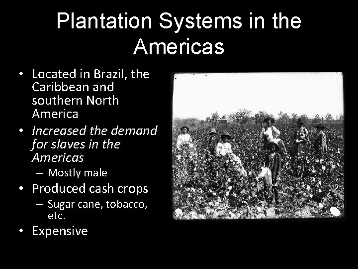 Plantation Systems in the Americas • Located in Brazil, the Caribbean and southern North