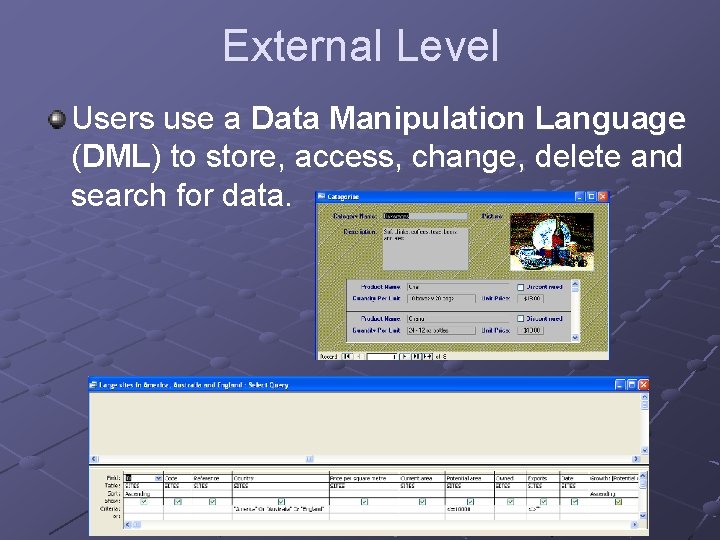 External Level Users use a Data Manipulation Language (DML) to store, access, change, delete