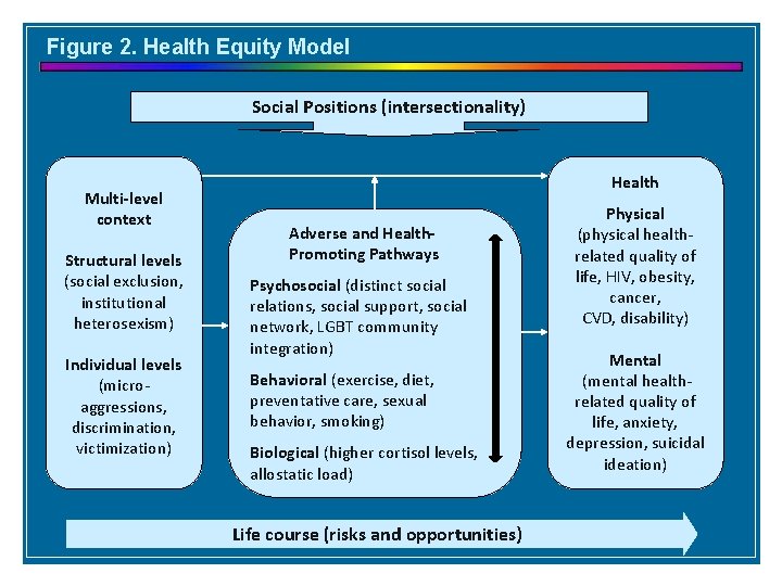 Figure 2. Health Equity Model Social Positions (intersectionality) Multi-level context Structural levels (social exclusion,