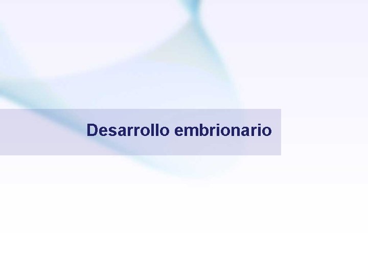 Desarrollo embrionario 