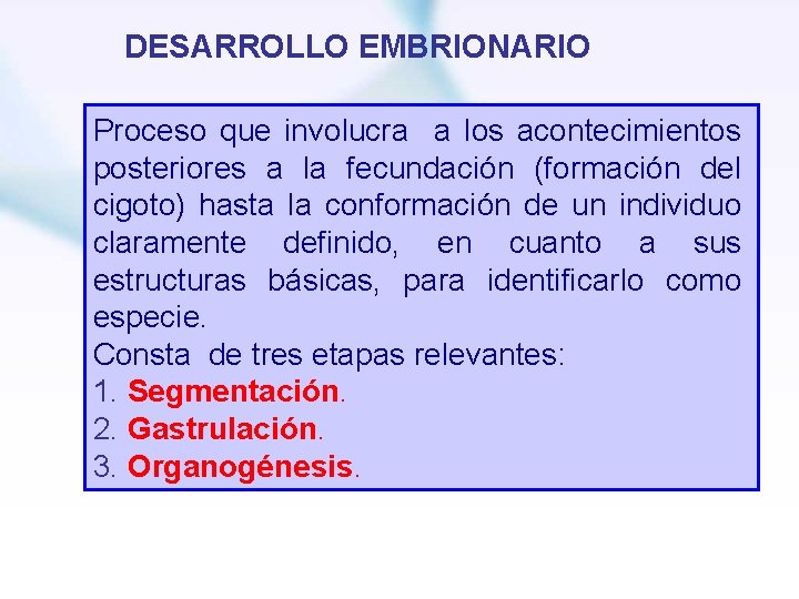 DESARROLLO EMBRIONARIO Proceso que involucra a los acontecimientos posteriores a la fecundación (formación del