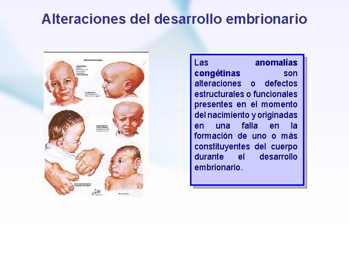 Alteraciones del desarrollo embrionario Las anomalías congétinas son alteraciones o defectos estructurales o funcionales