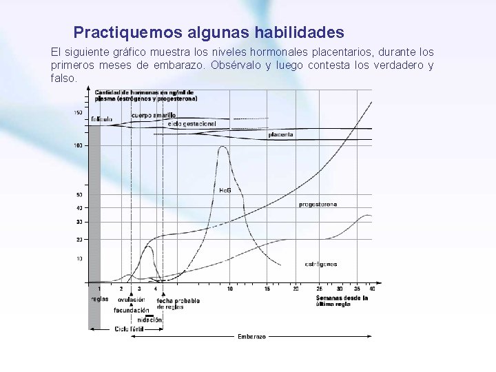 Practiquemos algunas habilidades El siguiente gráfico muestra los niveles hormonales placentarios, durante los primeros