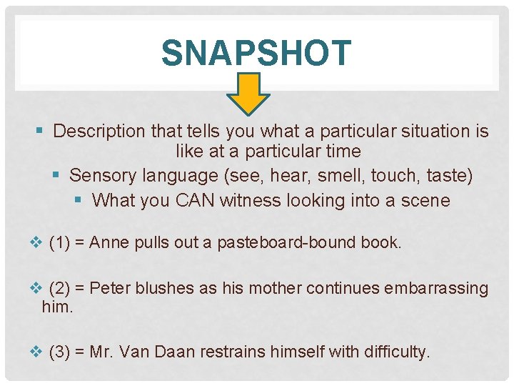 SNAPSHOT § Description that tells you what a particular situation is like at a