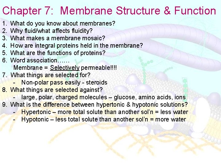 Chapter 7: Membrane Structure & Function 1. 2. 3. 4. 5. 6. What do