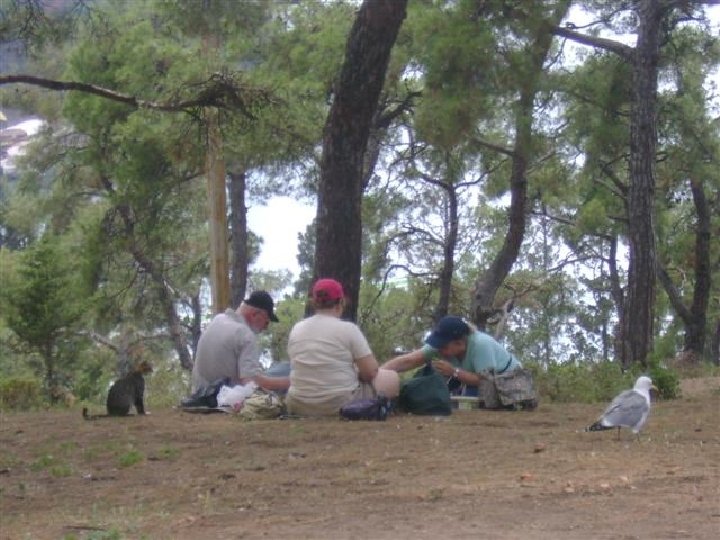 İster En İŞTE çok tek BÜYÜKADA ziyaret kişilik edilen isterseniz VE OBJEKTİFE Ada, iki