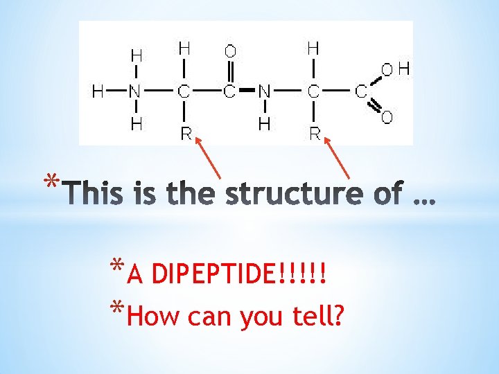 * *A DIPEPTIDE!!!!! *How can you tell? 