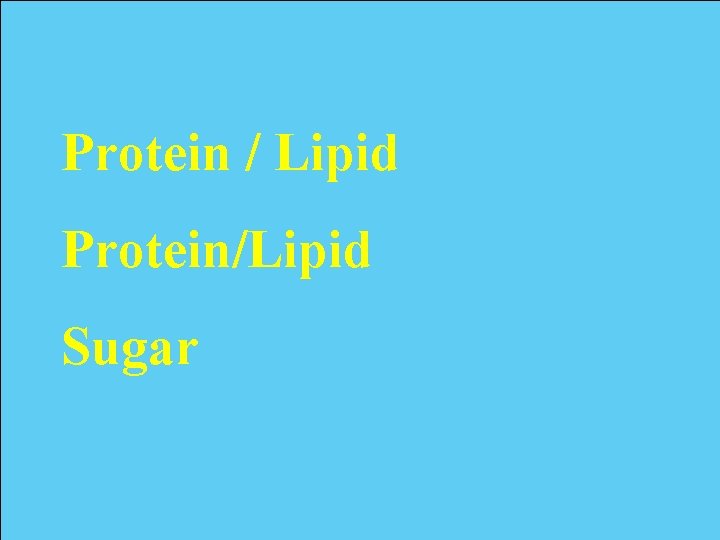 Protein / Lipid Protein/Lipid Sugar 