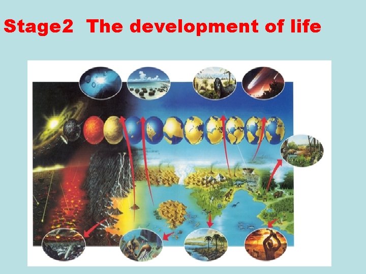 Stage 2 The development of life 