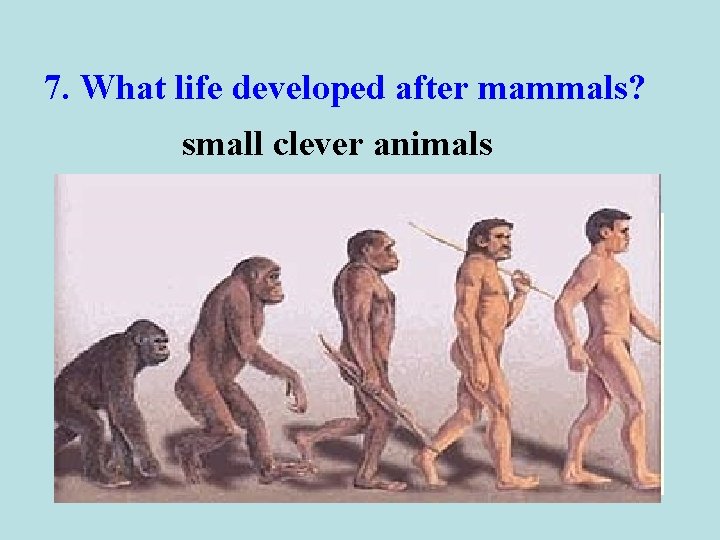 7. What life developed after mammals? small clever animals 