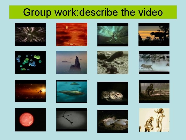 Group work: describe the video 