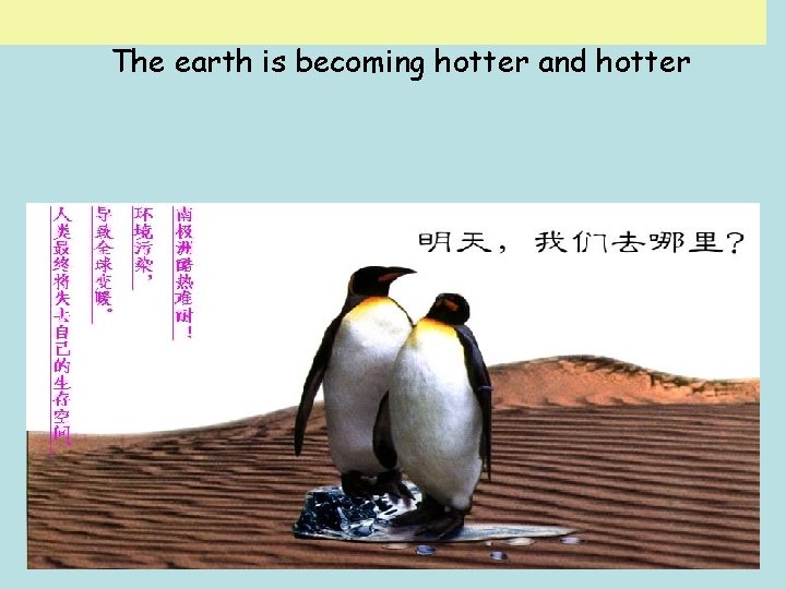 The earth is becoming hotter and hotter 