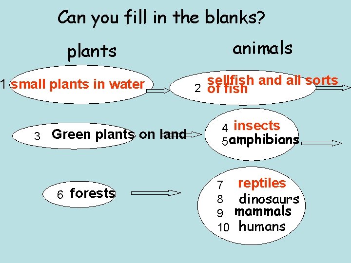 Can you fill in the blanks? animals plants 1 small plants in water 3