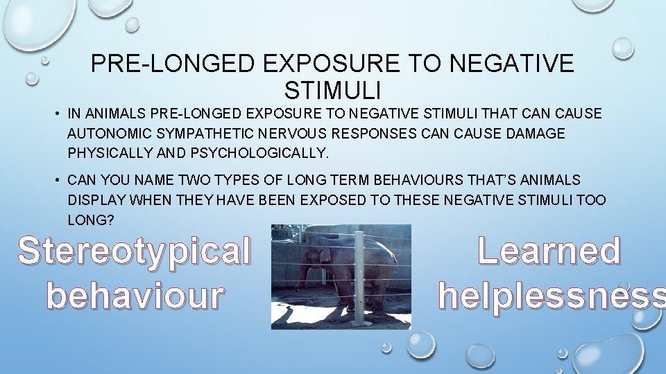 PRE-LONGED EXPOSURE TO NEGATIVE STIMULI • IN ANIMALS PRE-LONGED EXPOSURE TO NEGATIVE STIMULI THAT