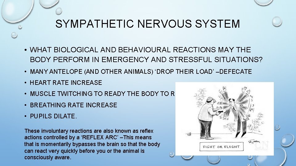 SYMPATHETIC NERVOUS SYSTEM • WHAT BIOLOGICAL AND BEHAVIOURAL REACTIONS MAY THE BODY PERFORM IN