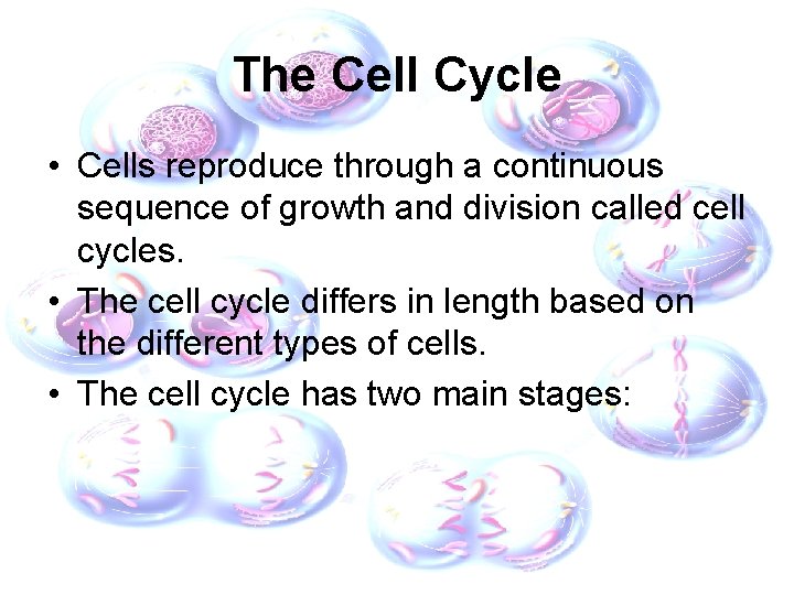 The Cell Cycle • Cells reproduce through a continuous sequence of growth and division