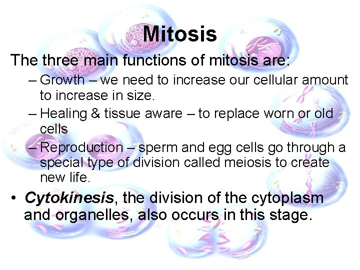Mitosis The three main functions of mitosis are: – Growth – we need to