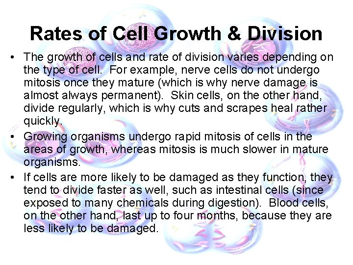 Rates of Cell Growth & Division • The growth of cells and rate of