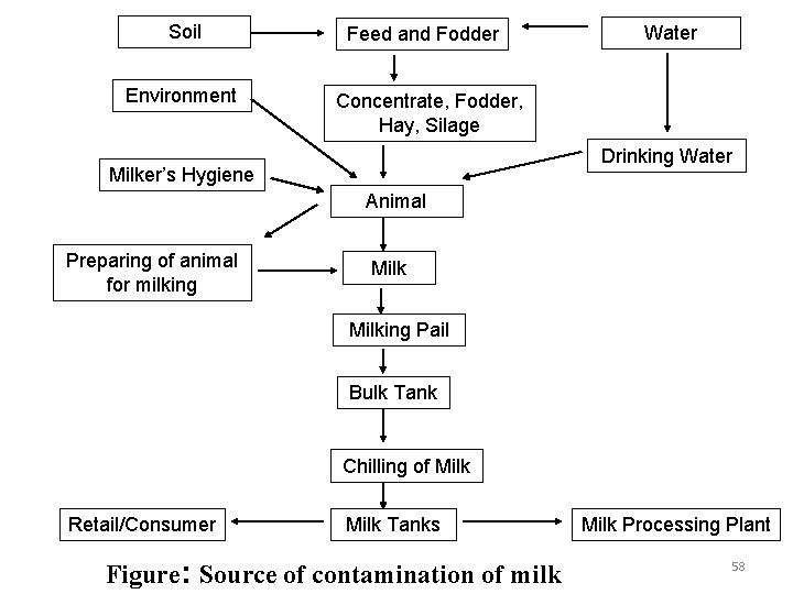 Soil Environment Feed and Fodder Water Concentrate, Fodder, Hay, Silage Drinking Water Milker’s Hygiene