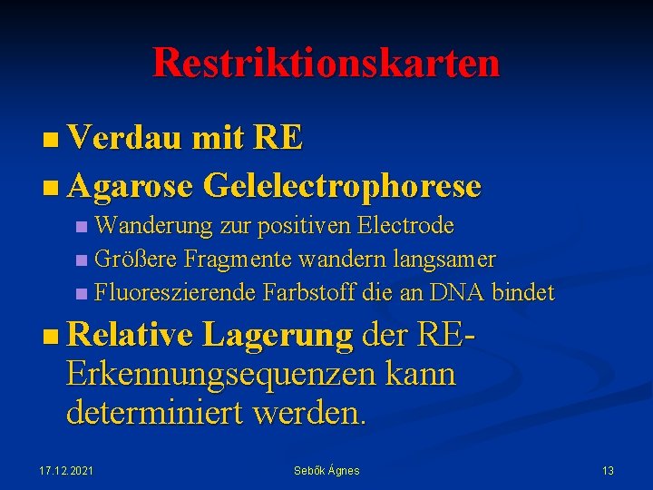 Restriktionskarten n Verdau mit RE n Agarose Gelelectrophorese n Wanderung zur positiven Electrode n