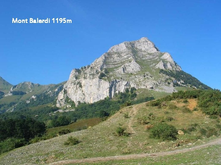 Le nom Balerdi est originaire du village de Betelu en Navarre, situé au pied
