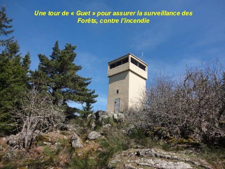 Une tour de « Guet » pour assurer la surveillance des Forêts, contre l’incendie