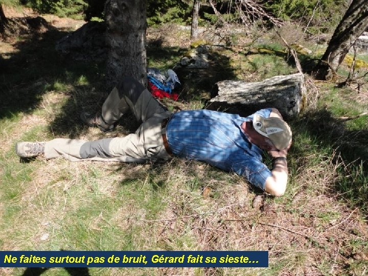 Ne faites surtout pas de bruit, Gérard fait sa sieste… 